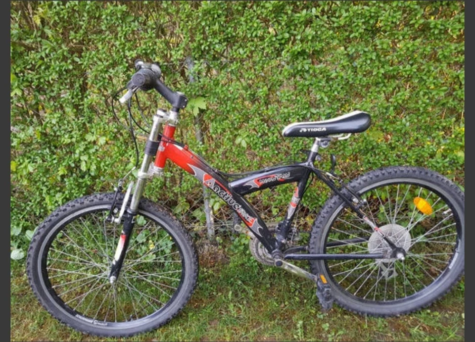 Mountainbike Active Bike
