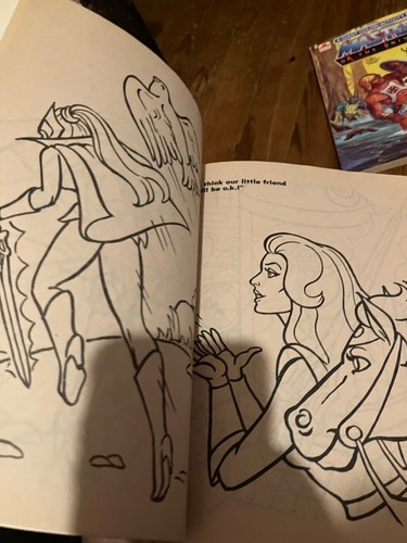 Lot of 2 Golden Coloring MASTERS THE UNIVERSE 1984 He-man She-Ra Skeletor MOTU - Picture 10 of 13