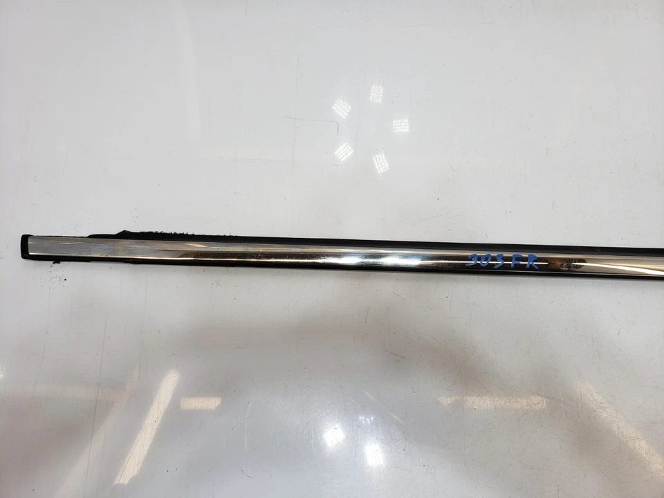 ✅98-03 OEM Jaguar XJ8 XJR SWB Front Right porta do passageiro carroceria moldura externa - Imagem 2 de 4