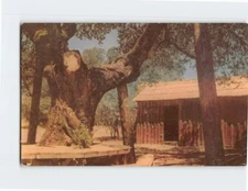 Postcard Mark Twain's Cabin Jackass Hill California USA