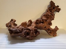 Mangrovenwurzel für Aquarium –  natürliche Deko für Süß- & Meerwasser