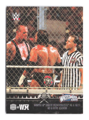 2015 Topps WWE Road to Wrestlemania Undertaker Hell in a Cell Triple H HHH@WM 9