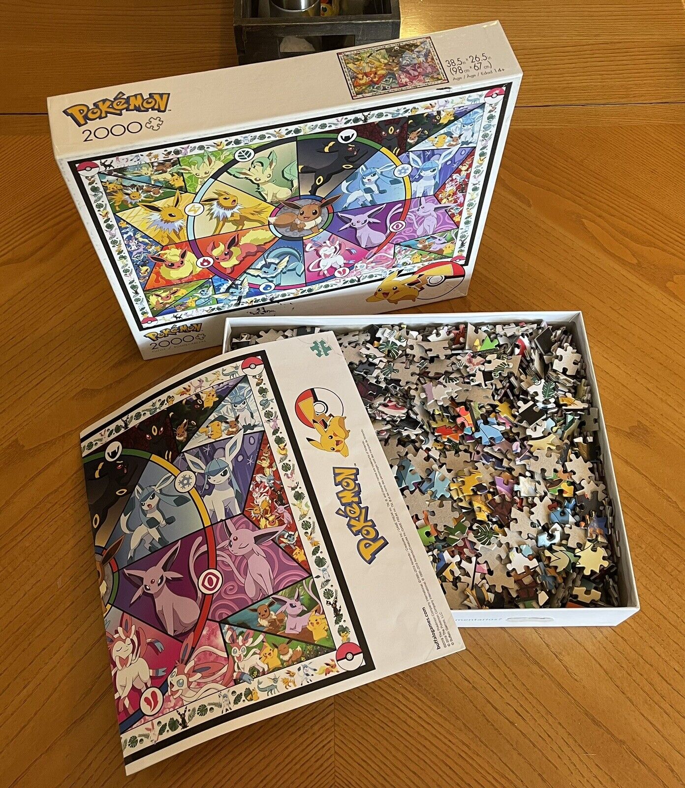 Puzzle Os 16 tipos de Pokémon, 2 000 peças