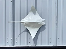 20" Cownose Ray - Gloss White - Half Mount Replica - Quick Production