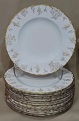(12) ROYAL CROWN DERBY ''VINE-GOLD'' DINNER PLATES 10 1/4'' GORGEOUS  ENGLAND 