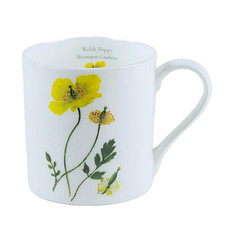 SOPHIA DAVENPORT Balmoral Welsh Poppy Fine Bone China Mug New