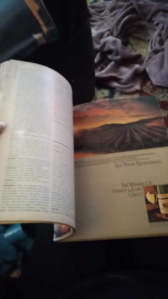 The 2nd Most Valuable Playboy!! The 1980 Edition Featureing -- Bo Derek!!! - Image 4 of 4