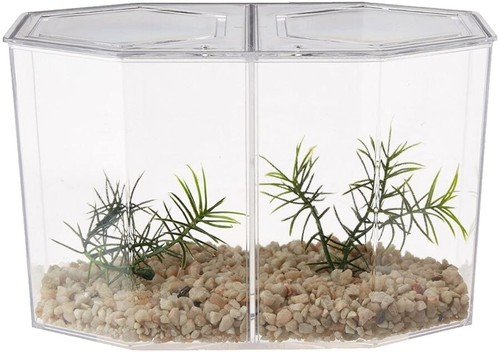 SUPREME New York Fish Bowl FW'20 | eBay