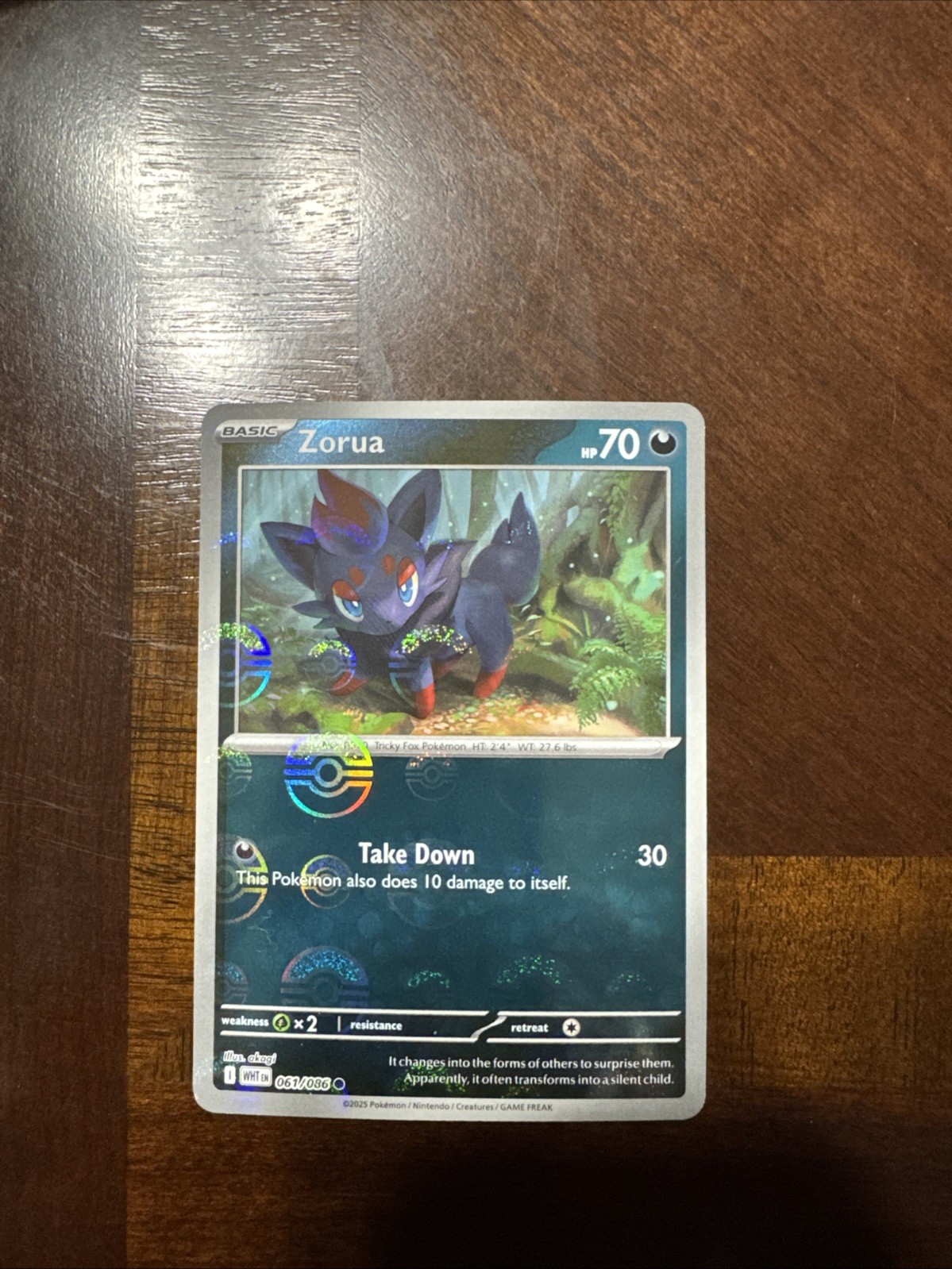 Zorua (Poke Ball Pattern) #61 - White Flare - Pokemon