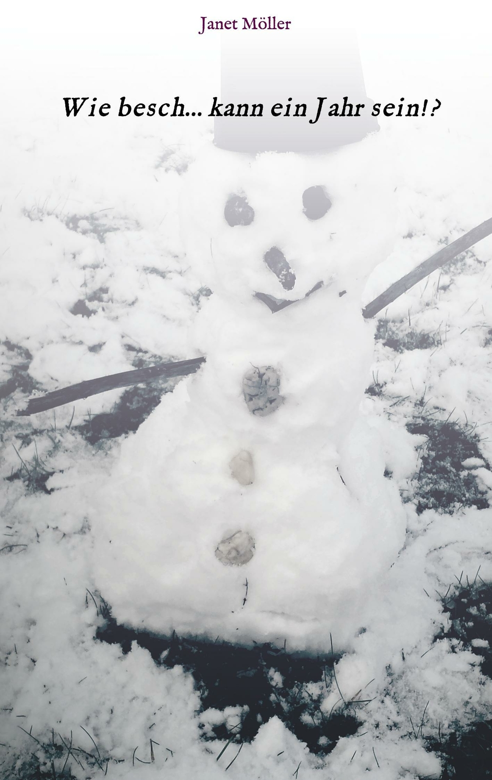 Wie Besch...kann Ein Jahr Sein | Buch | 9783743982239