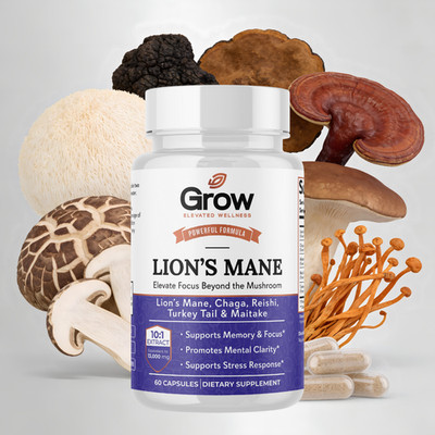 Alpha Lion's Mane, Brain, Memory & Focus, Cognitive Support, NEW - 60 Capsules