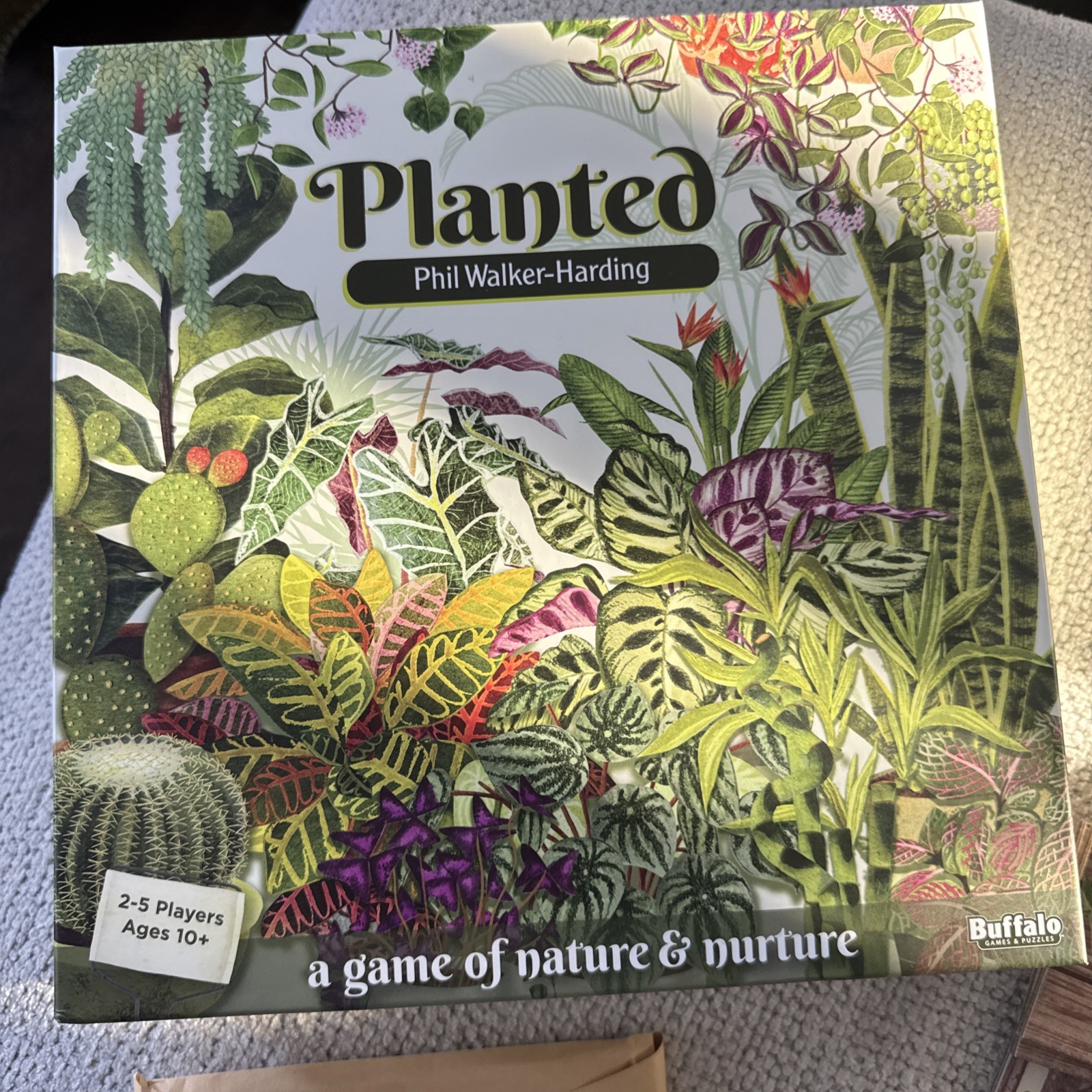 By Buffalo | A Game Of Nature & Nurture 2-5 Players New