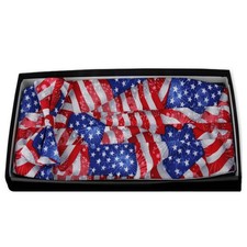 Flag Day Bow Tie and Cummerbund Set