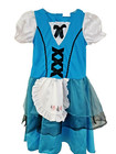 🐇  Girl's L Disney's Alice in Wonderland Dress Up Costume 10-12 Halloween Park — photo 1