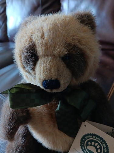 Boyds Bears & Friends Bandit Bushytail Raccoon Green Ribbon w/Frog Vintage New - Bild 4 von 5