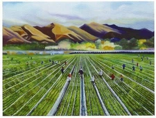 Postcard Johnny E.SJ. Otilano "Strawberry Fields" (California) MINT Unused