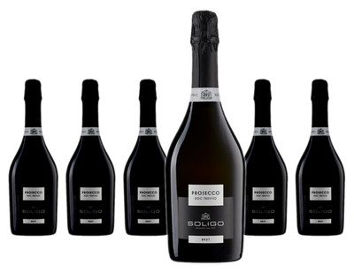 6 x Soligo Prosecco Spumante Treviso DOC Brut