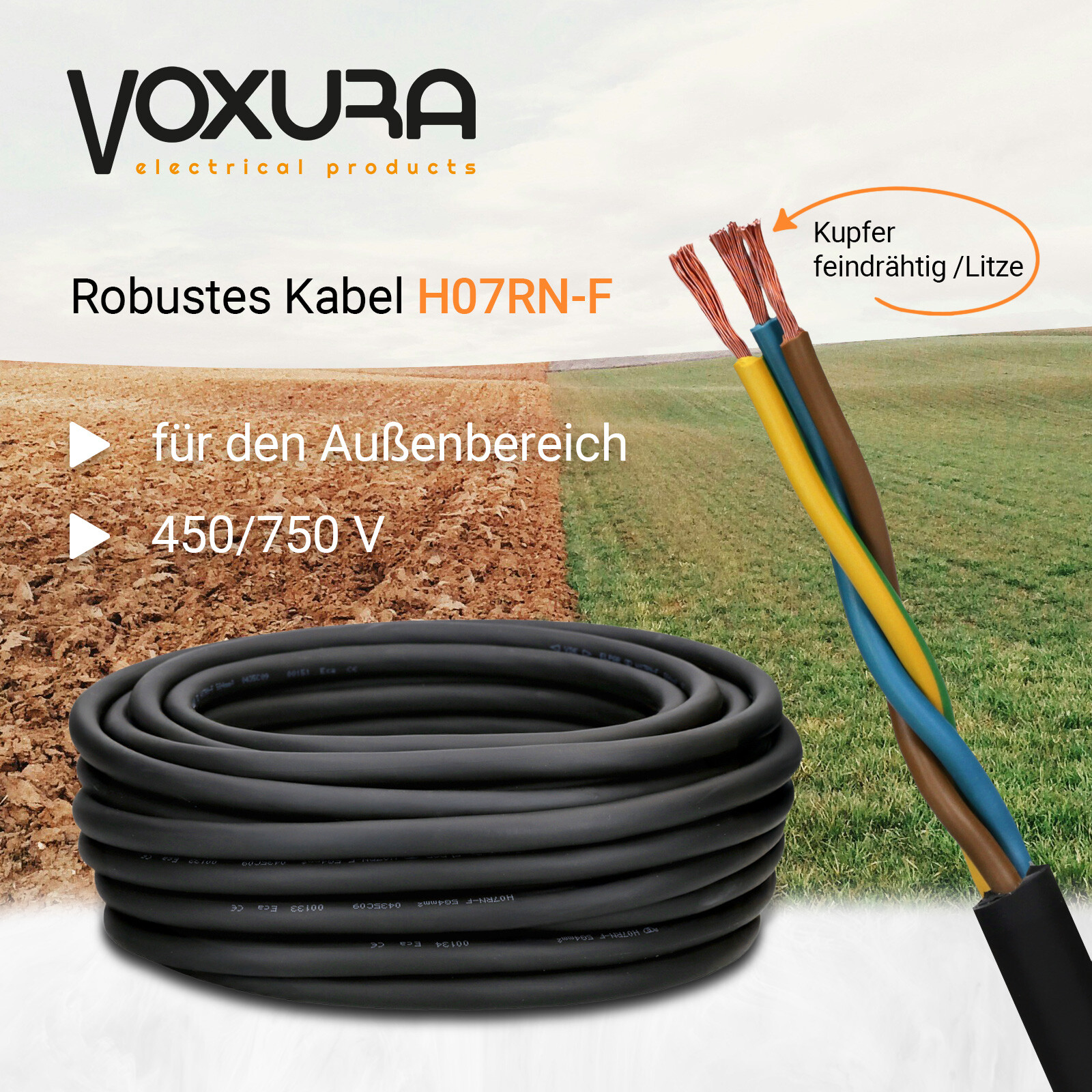 Bild 3 von 6