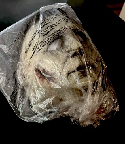 MICHAEL MYERS MASK HALLOWEEN KILLS 🎃HORROR SALE REHAUL SERVICE X GHOSTBOB 👻 - Picture 13 of 16