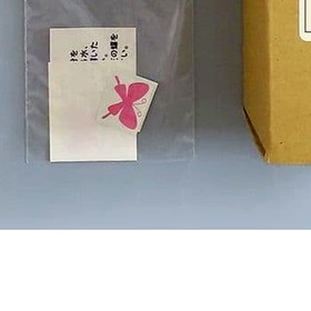 Dead or Alive 2 Ayane Dreamcast Ver. 1P Ver. Resin Cast Kit 1/6 Scale