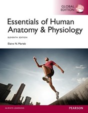 Essentials of Human Anatomy & Physiology, Global Edition by Marieb, Elaine N.