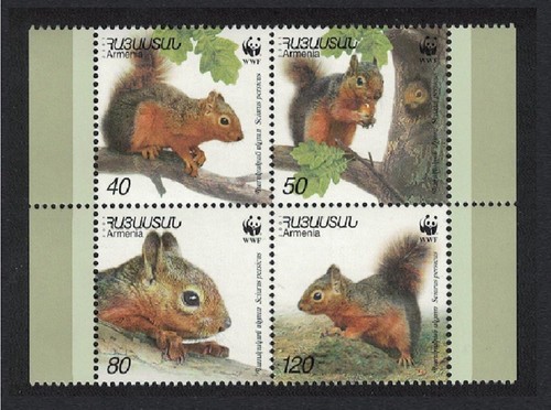 Armenia WWF Squirrel 4v Block of 4 2001 MNH Sc#632 a-d SG#484-487 MI ...
