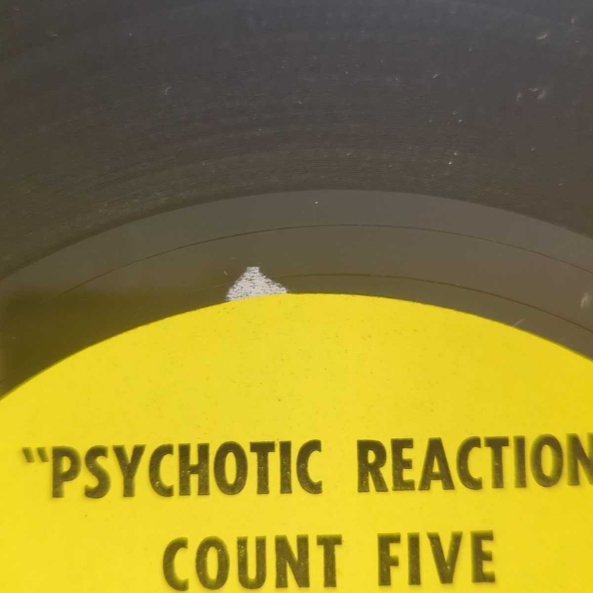 Count Five/Psychotic Reaction オリジナル モノラル Count Five – Psychotic Reaction – Vinyl (7