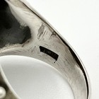 Bild 6 von 7