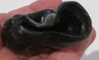 Bild 6 von 6