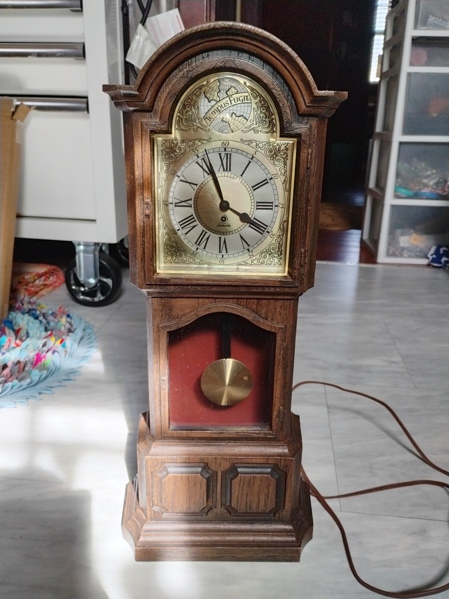 Vintage Sunbeam Tempus Fugit Electric Pendulum 19” Grandfather