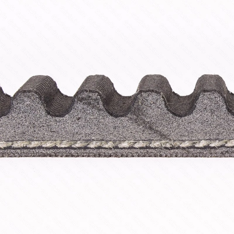 Honda CN 250 Helix Spazio 1986-1999 Dayco Correa transmisión final reforzada - Imagen 3 de 3