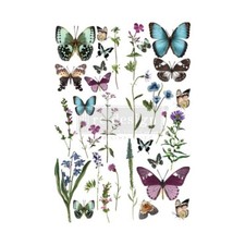 Butterfly Oasis Redesign With Prima Transfer