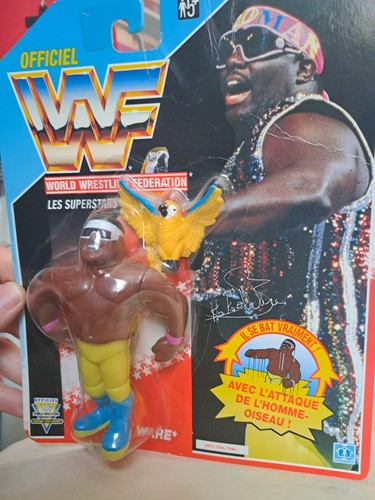 Koko B Ware