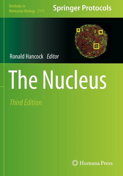 Ronald Hancock | The Nucleus | Taschenbuch | Englisch (2021) | Xi | Humana-image