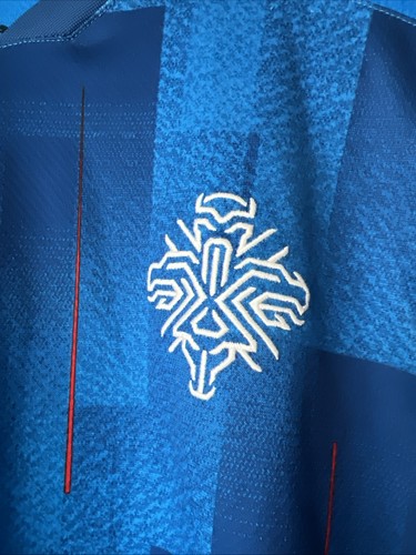 2020 Puma Island Fußball Fußball Trikot Blau Herren Größe M - Bild 3 von 6