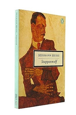 Steppenwolf (Twentieth Century Classics) by Hesse, Hermann Paperback Book The