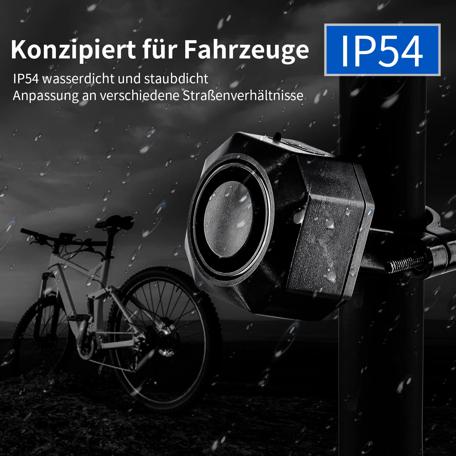 Bild 11 von 12