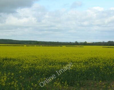 Foto 6x4 Rape Field, Northlands Walkington um 2010