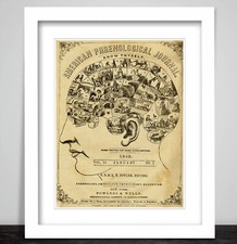 Art Print Framed American Phrenology Journal. Brain Parts Head Mind Science 259