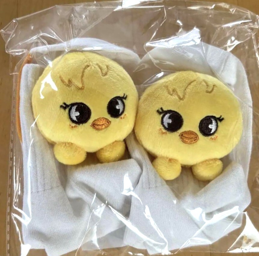 Foto 13 di 24