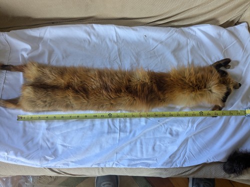 Vintage 60s Red Fox Fur Scarf/Collar Wrap 36" Pelt - Picture 18 of 19