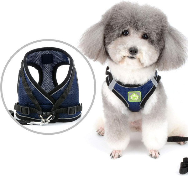 Hundegeschirr Und Leine FüR Kleine Hunde Welpen Verstellbar Reflektierend Brustg-image