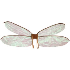 Womens Girls Costume Accessories Halloween Dragonfly Role Play Wings Festival