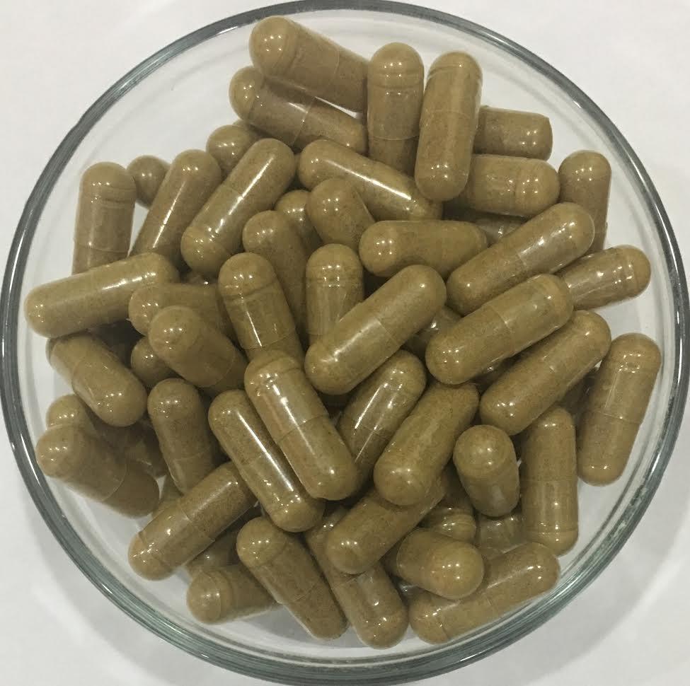 Herbal Formula for Memory  Learning  Concentration  Blend Standardized Extracts