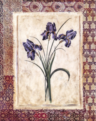 Richard Henson Moroccan Tulips and Moroccan Iris Prints Set of 2