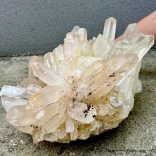 61LB Cristal Blanco Natural Cuarzo del Himalaya Racimo/minerales Espécimen