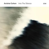 Into The Silence | Avishai Cohen | Deutsch | Audio-Cd | Cd | 2016