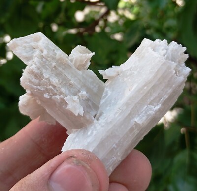 Rare Meyerhofferite Crystal From Turkey