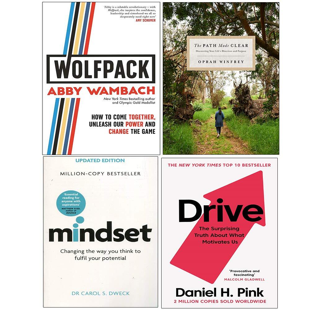 Abby Wambach & Daniel H. Pink Unisex Pink Wolfpack, Path Made Clear, Mindset And More 4 Books Collection Set - Non Fiction - Mixed Format - Image 3