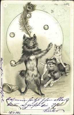 Präge Litho Hund jongliert mit Bällen und hat Pfauenfeder auf der... - 10619889